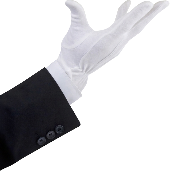 Hand illustration